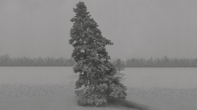 010_EN_Mathieu_Bernard-Reymond