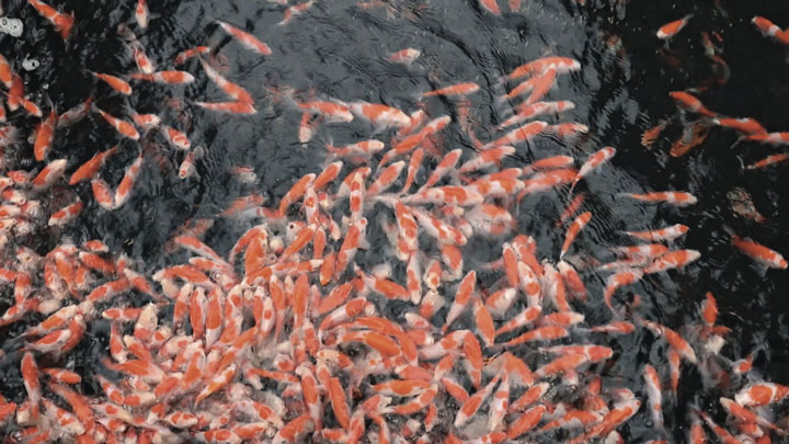 03_EN_Laurence_Rasti