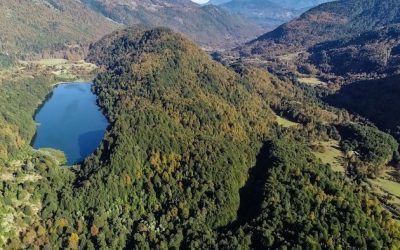 INDH presenta informe en derecho ante Corte Suprema por falta de consulta indígena en aprobación ambiental de proyecto hidroeléctrico en La Araucanía