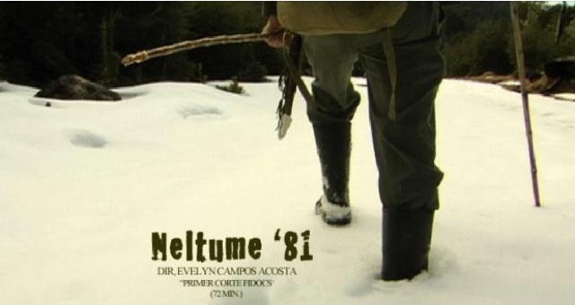 Neltume 81