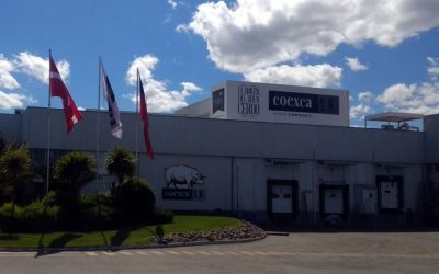 Corte Suprema confirma que empresa de crianza de cerdos Coexca vulnera el derecho a vivir en un medio ambiente libre de contaminación en San Javier