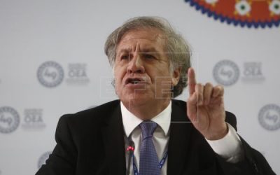 Secretario general de la OEA no renueva a jefe de CIDH y Comisión acusa no respetar autonomía