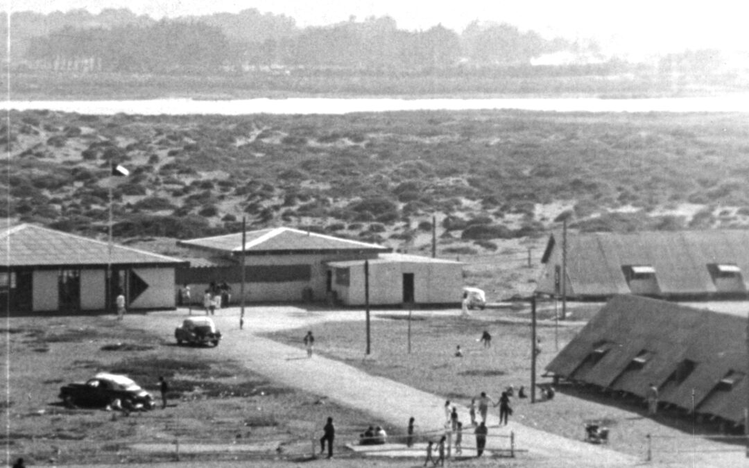 Pedazos encontrados de un verano