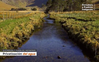 Dictadura y Pueblos indígenas: Privatización del agua